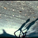 The Tree Of Life (2011)
